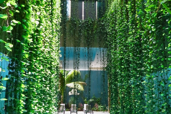 Indoor pool, open 8:00 AM to 9:00 PM, sun loungers