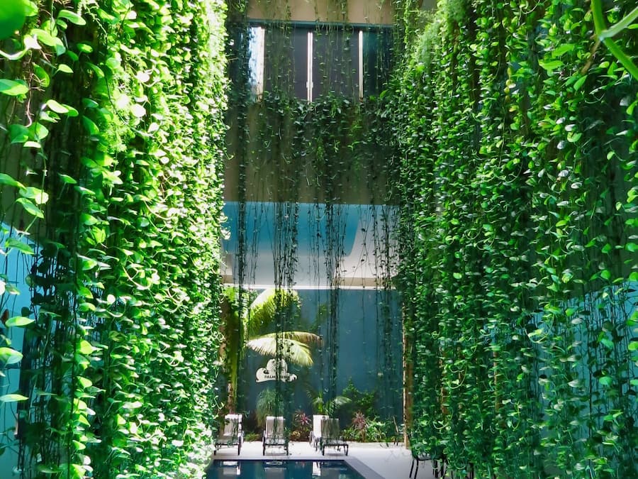 Piscina interna, funciona das 8h às 21h, espreguiçadeiras