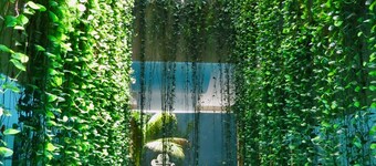 Palmarena Rooms and Residences - Long Stay Comfort with Parking, Sauna, Gym and Pool (Steps from 5th Avenue)