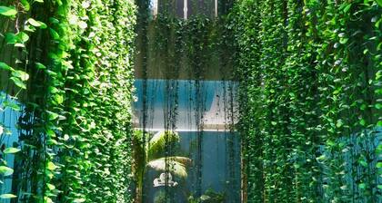 Palmarena Rooms and Residences - Long Stay Comfort with Parking, Sauna, Gym and Pool (Steps from 5th Avenue)