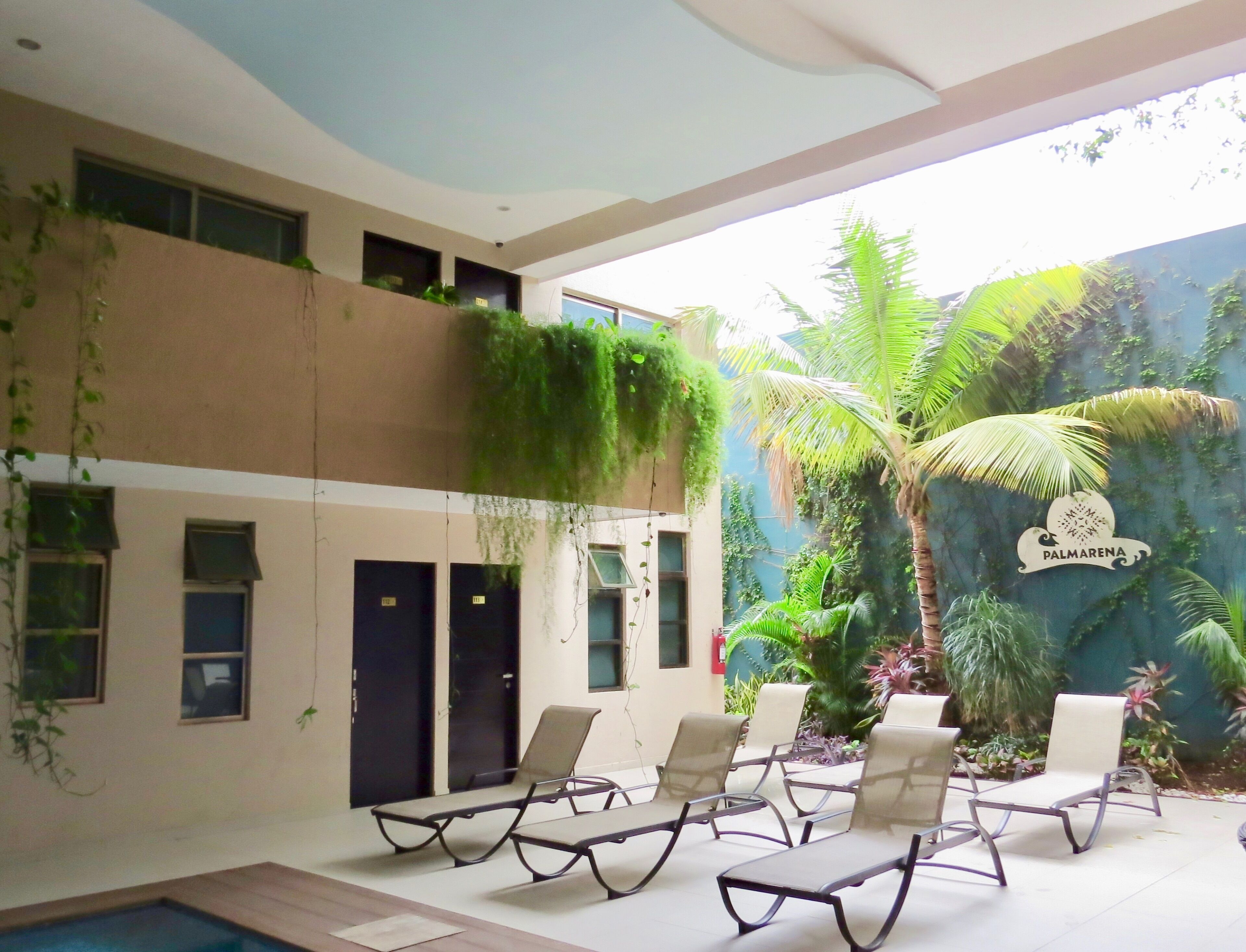 A modern indoor pool area with lounge chairs and a wall decorated with greenery and palm trees.