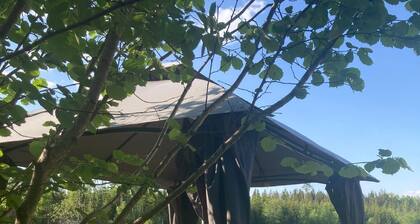 Charming wooden house with own rowing boat