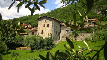 Esterni