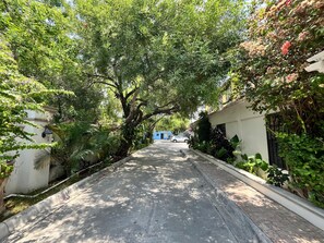 Eine schmale, von Bäumen gesäumte Straße mit Gebäuden an beiden Seiten.