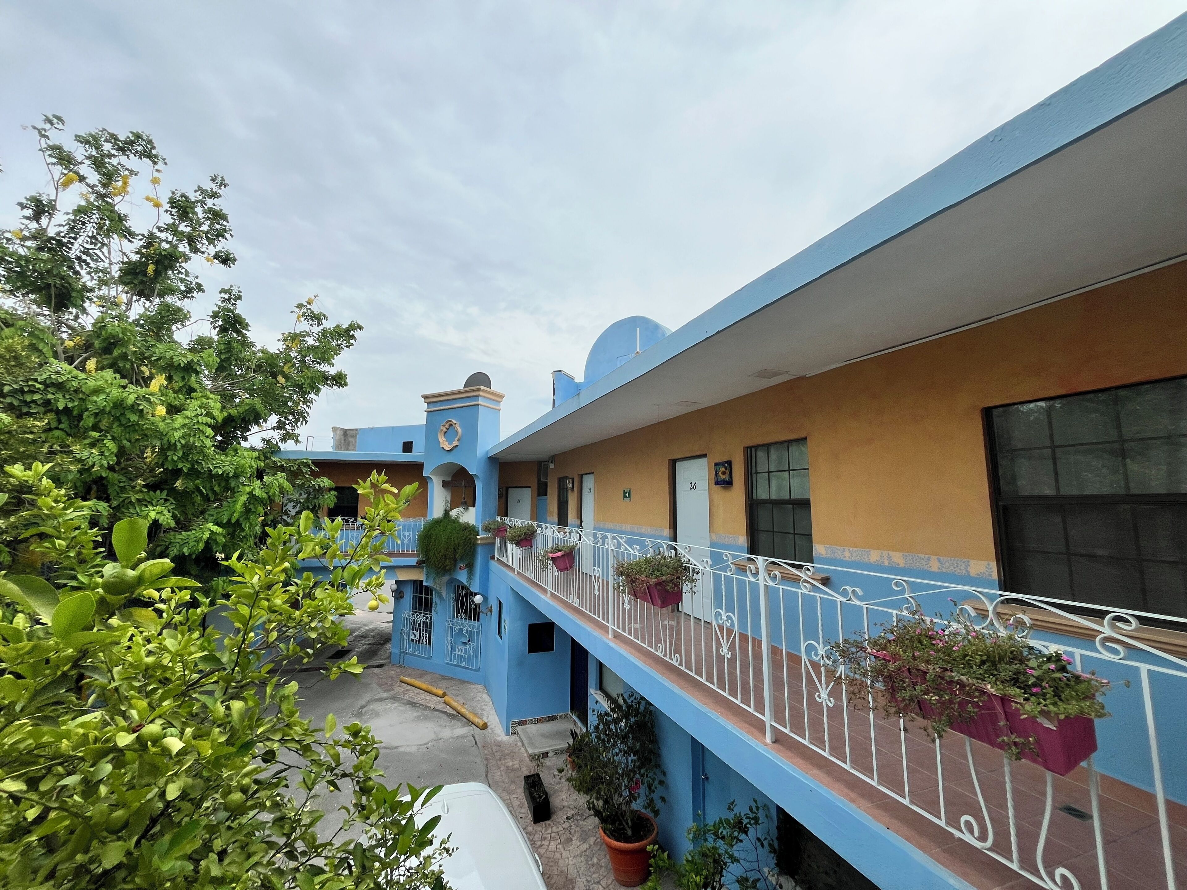 Jardín