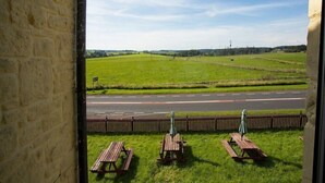 Uitzicht vanuit een raam op een grasveld en een weg. Er staan picknicktafels en parasols.