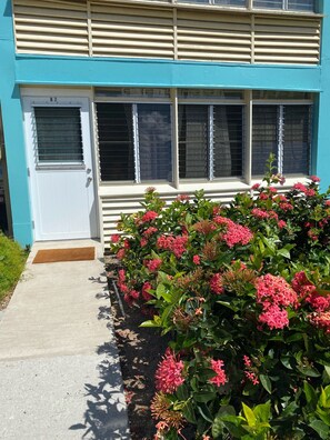 Exterior detail - Luxury Condo at Crystal Cove Saint Thomas USVI Sleeps 5 (St Thomas)