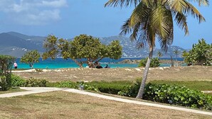 A grassy area with a pathway, a palm tree, and a view of the sea and distant buildings.