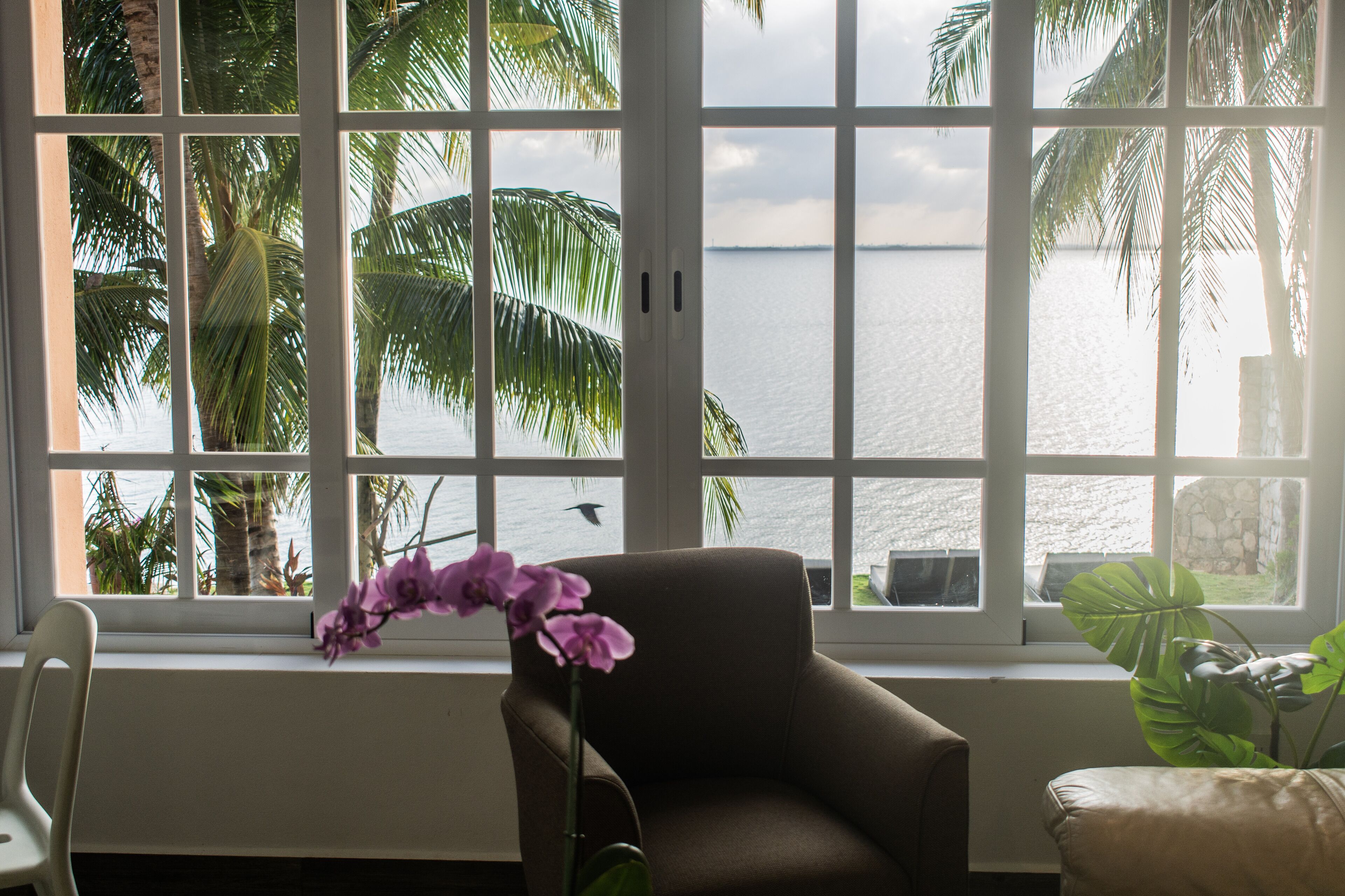 superior suite, 2 bedrooms, lagoon view | view from room