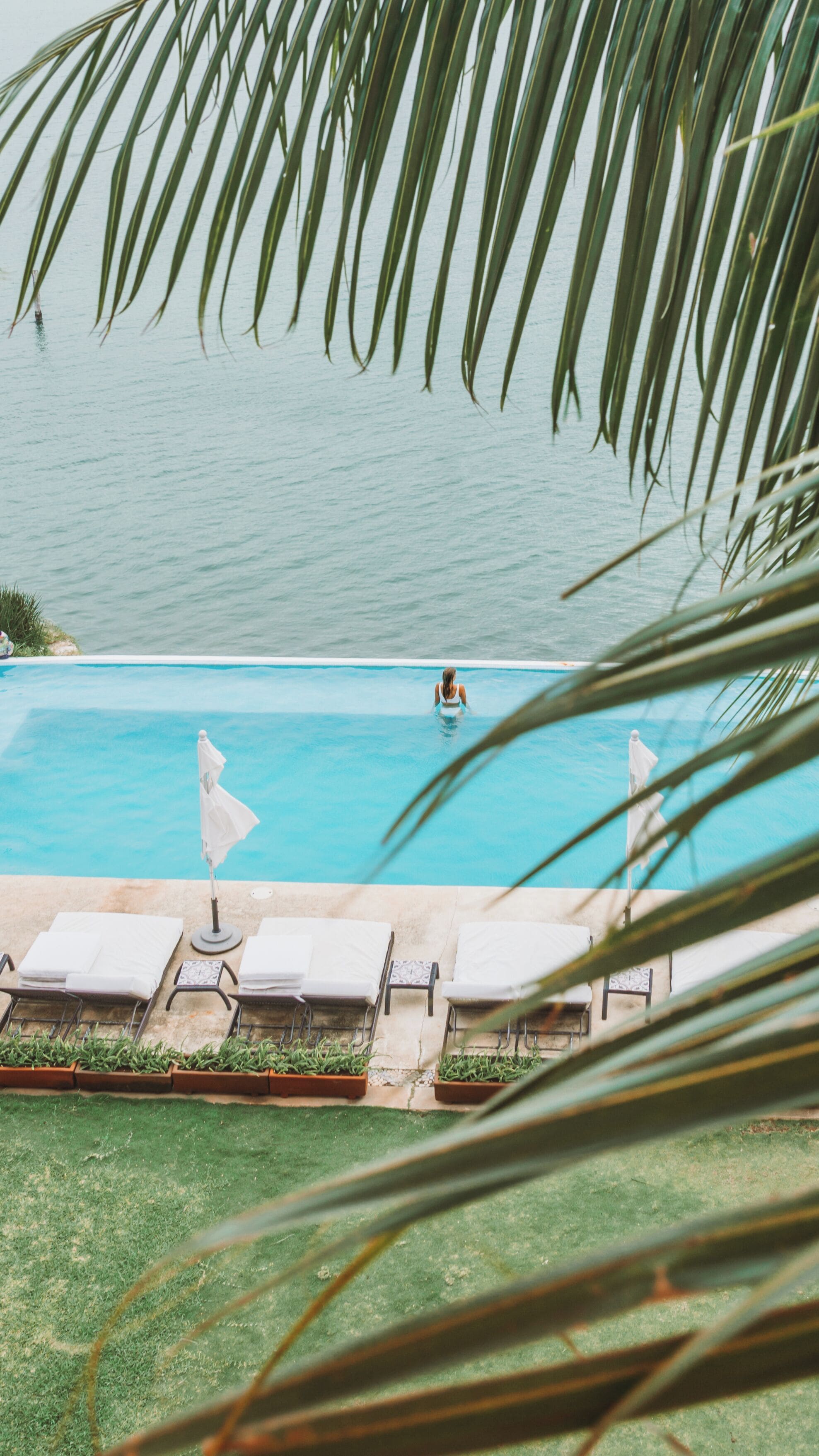 A pool with a person swimming, surrounded by lounge chairs and umbrellas, with palm leaves framing the view.