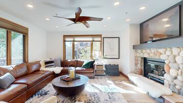 TV, fireplace, DVD player, books