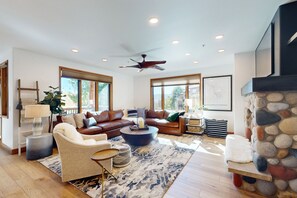 Televisión, chimenea, reproductor de DVD, libros