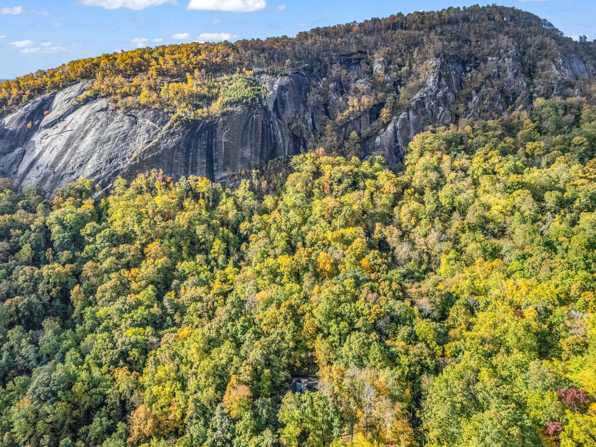 A mountainous landscape with dense forest and rocky cliffs.