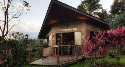 Yellow Tree Suites
