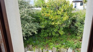 Vista attraverso una finestra su un giardino con muro in pietra, arbusti e piante varie.