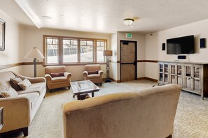 TV, fireplace, books