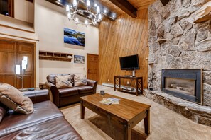 TV, fireplace, books