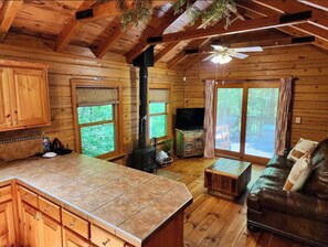 Televisión, chimenea y oficina