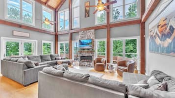 Télévision, cheminée, espaces bureaux