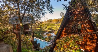 Lake House - The lake House