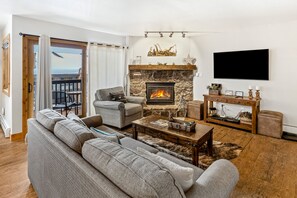 TV, fireplace, DVD player, books