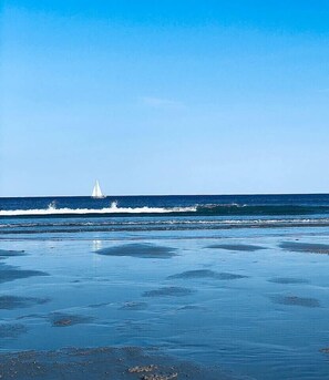 Playa en los alrededores 