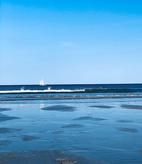 Playa en los alrededores 