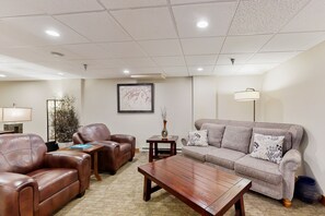 TV, fireplace, DVD player, books