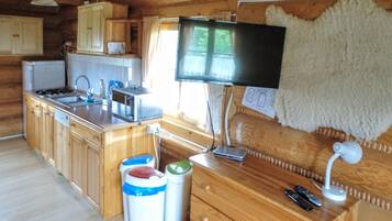 Frigorífic, microones, placa de cuina i rentaplats