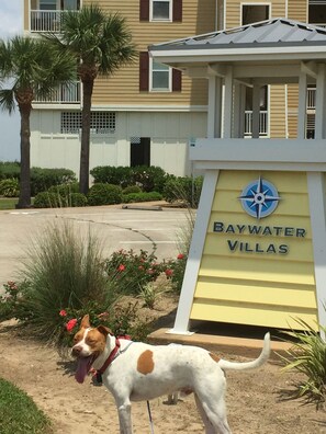 Property grounds - Newly renovated Bayfront Condo, Beach Club, Pools, Hot Tubs, Sunsets and More!! (Galveston)