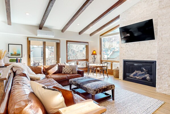 TV, fireplace, DVD player, books