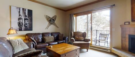 テレビ、暖炉、DVD プレーヤー、ビデオライブラリ