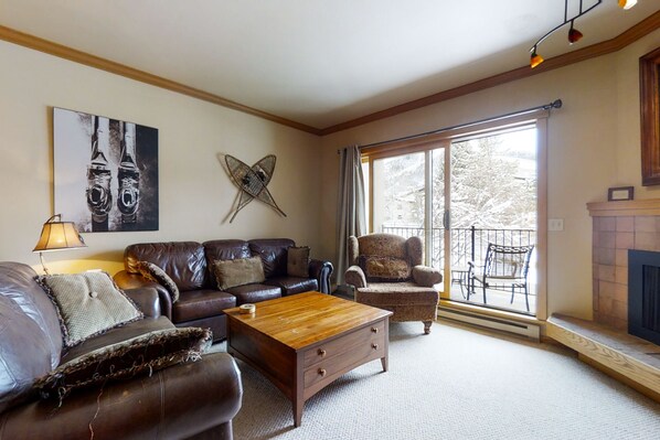 TV, fireplace, DVD player, video library