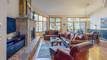 电视、壁炉、DVD 播放器、立体声音响