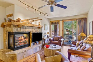 TV, fireplace, DVD player, books