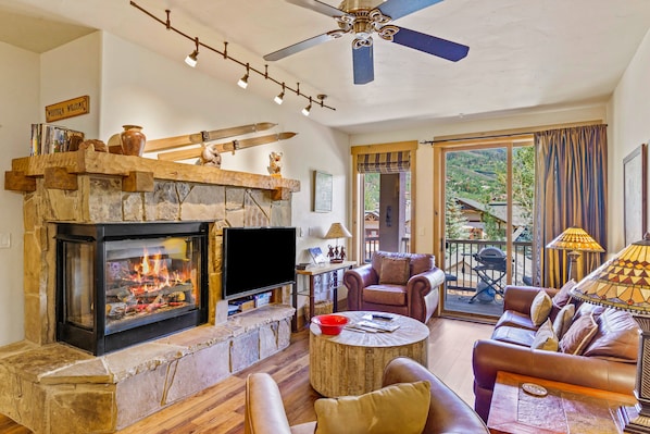 TV, fireplace, DVD player, books
