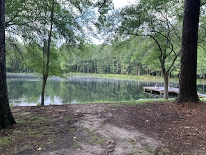 Property grounds - Private, Relaxing Waterfront Getaway! 3BR/2BA House! Modern Amenities!  (Chatham)