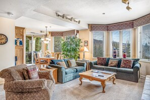 TV, fireplace, DVD player, stereo