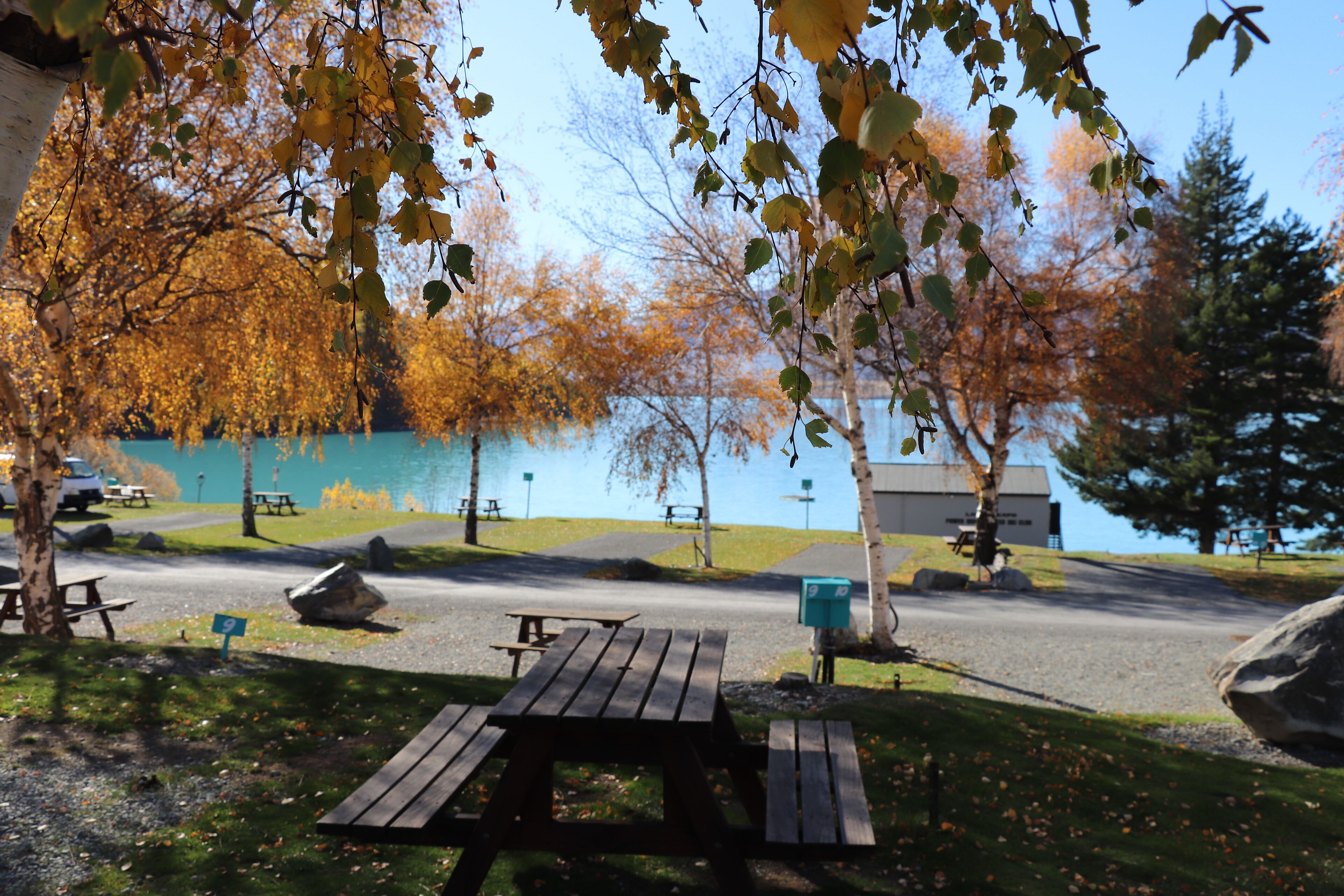 Ein Picknickbereich mit Bänken und Tisch, umgeben von Bäumen mit Herbstlaub, in der Nähe von Wasser und einem Gebäude.