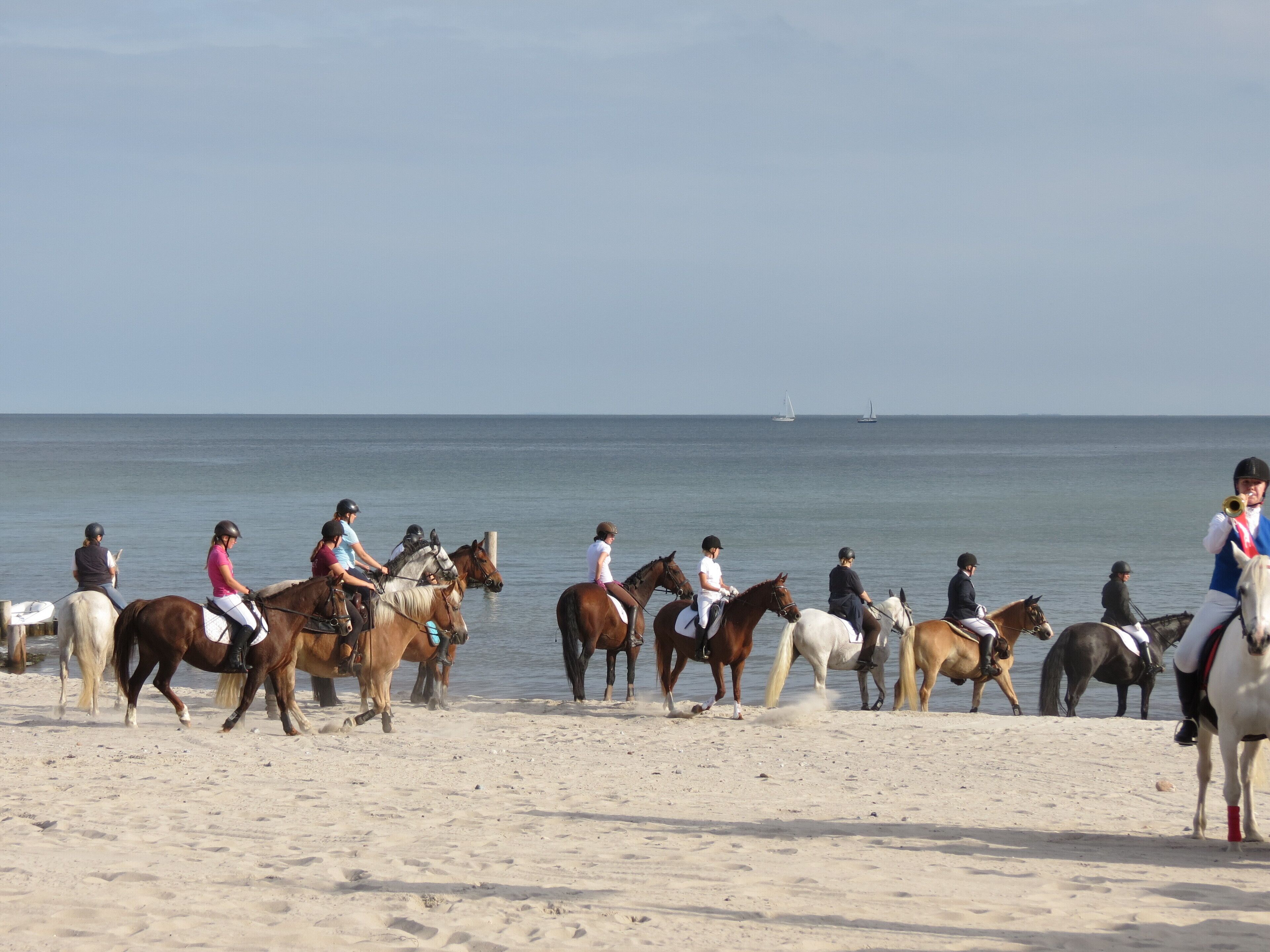 A beach with people riding horses.