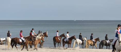 A beach with people riding horses.