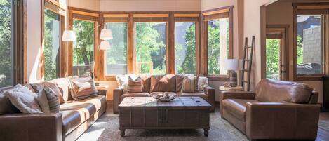 Smart TV, chimenea y reproductor de DVD