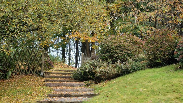 A stone pathway leading through a garden with a wooden fence on one side and a grassy slope on the other. - Charming house set in grounds and forest, guaranteed peace and quiet. (Gommenec'h)