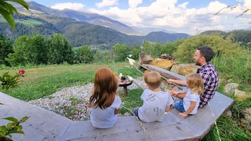 Área da propriedade