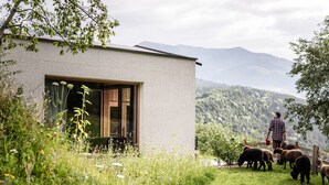 Un bâtiment moderne doté d’une grande fenêtre, entouré d’une zone verdoyante où paissent des moutons.