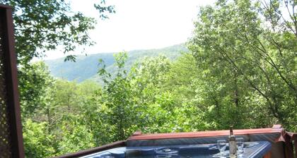 Mountain cabin/hot tub/fireplace/Game room/Pet Friendly/long term rental.