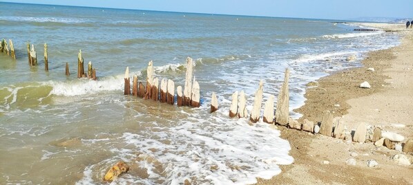 بالقرب من الشاطئ