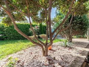 Property grounds - apartment "Arijana2" with private terrace (Medulin)