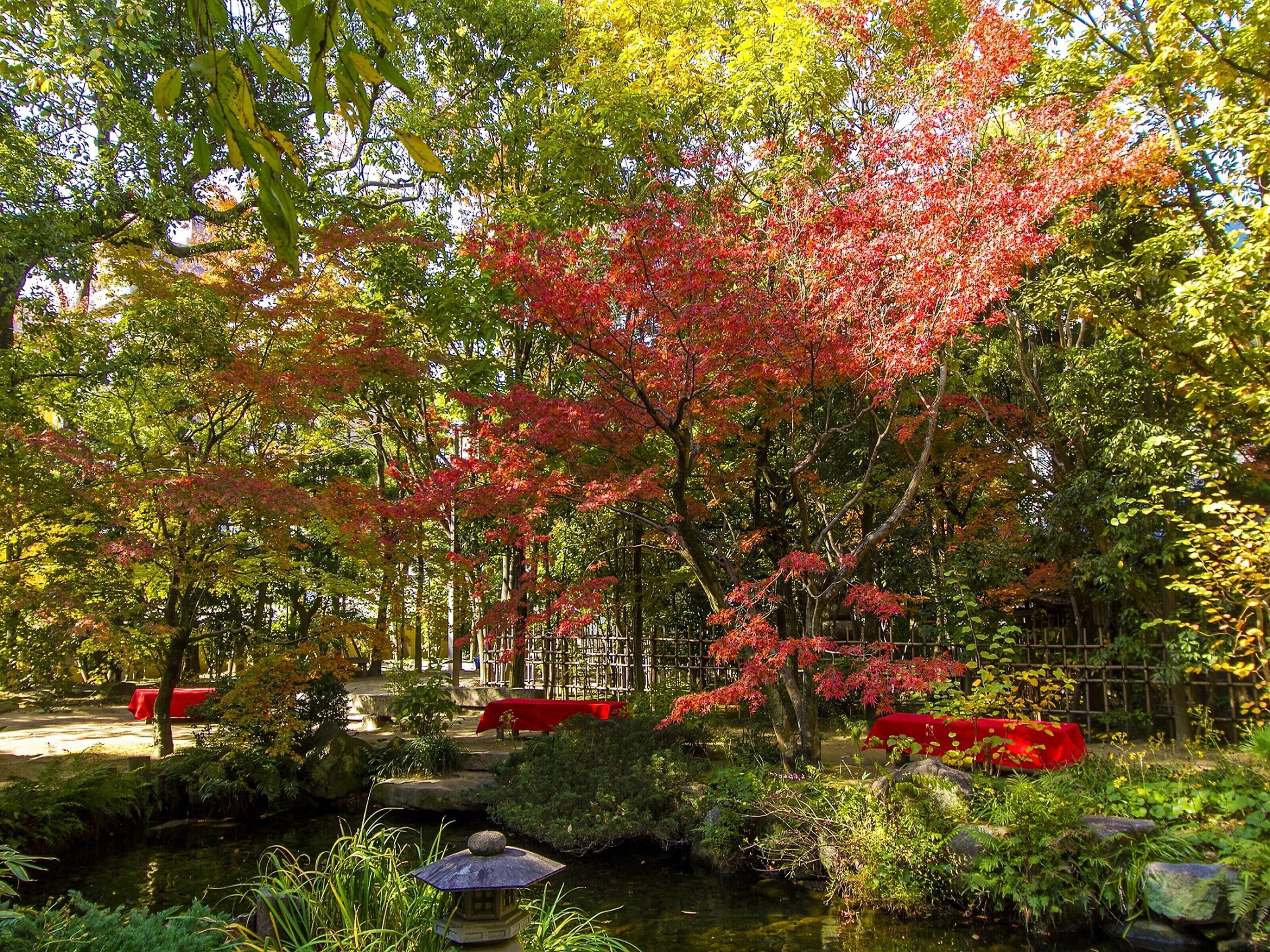 city view from property