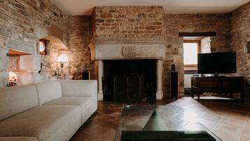 Télévision, cheminée, chaßne hi-fi